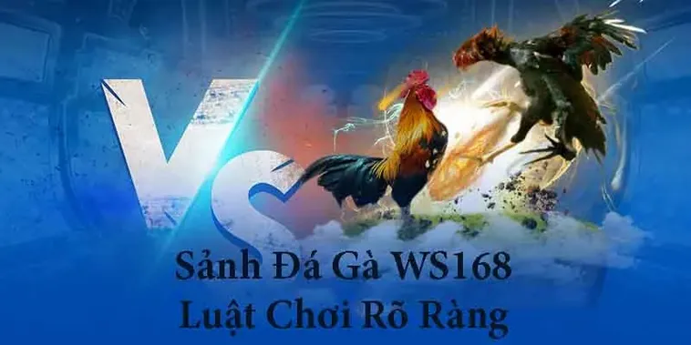 Chinh Phục Sàn Đấu Đá Gà WS168 33Win Bí Kíp Bất Bại Cho Kê Thủ 2 Chinh Phục Sàn Đấu Đá Gà WS168 33Win Bí Kíp Bất Bại Cho Kê Thủ